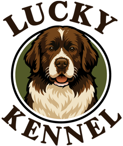 Lucky Kennel